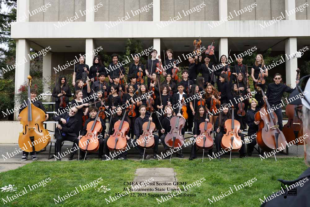 Musical Images